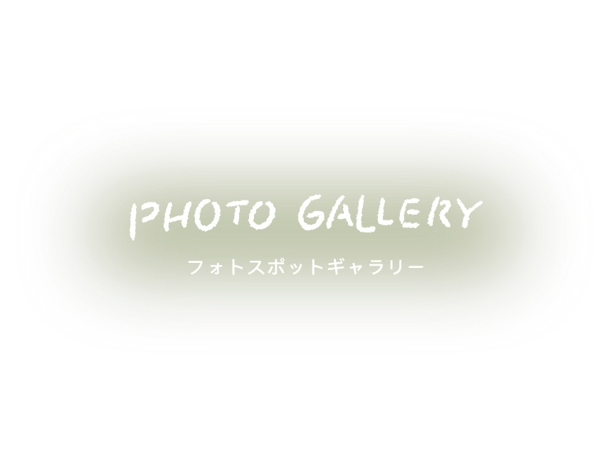 photo spot gallery