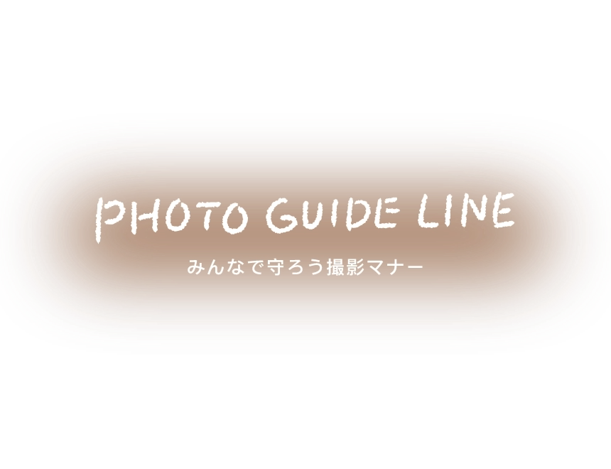 PHOTO GUIDE LINE