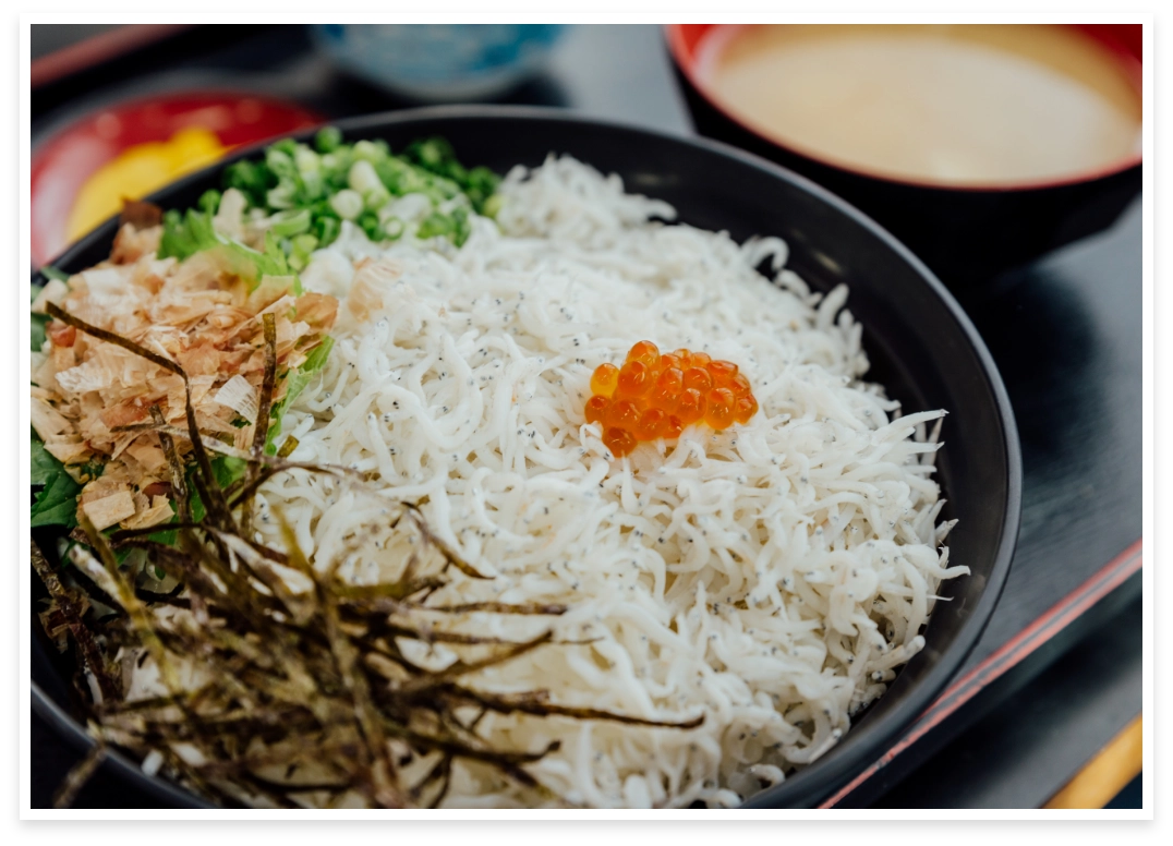 Photo of Shirasu rice bowl